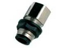 UNION PASATABIQUES ROSCA HEMBRA